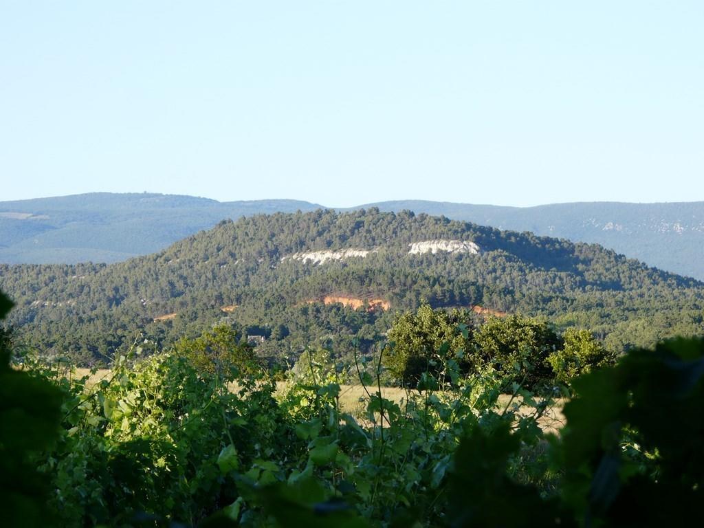 Lou Amourie Roussillon en Isere Esterno foto