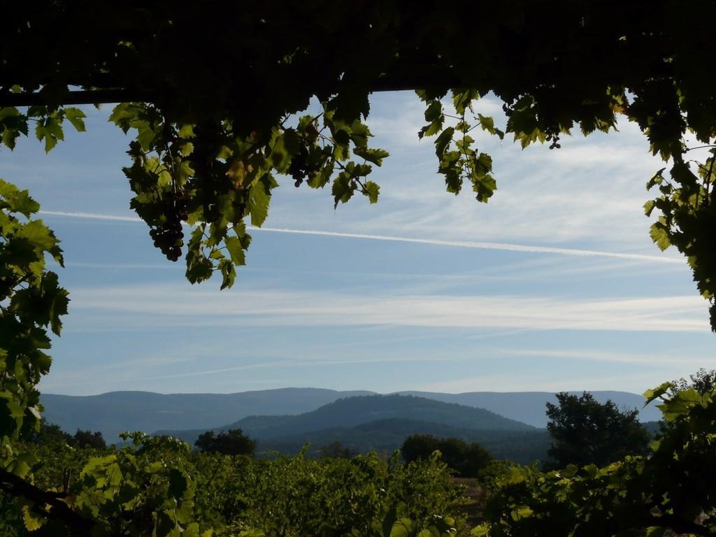 Lou Amourie Roussillon en Isere Esterno foto